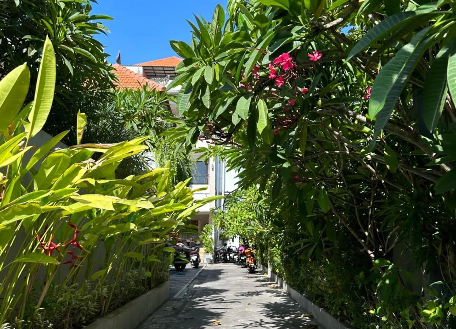 Bliss Studio Seminyak Seminyak (Bali)